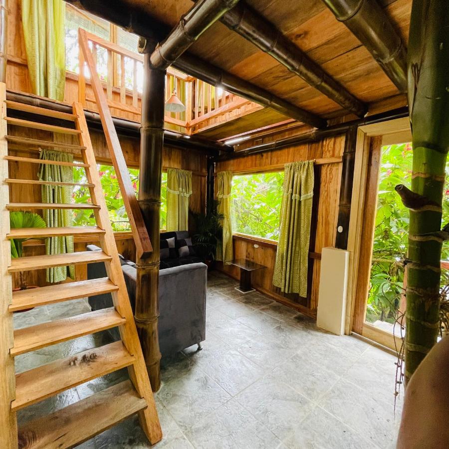 민도 Eden Treehouse 빌라 외부 사진