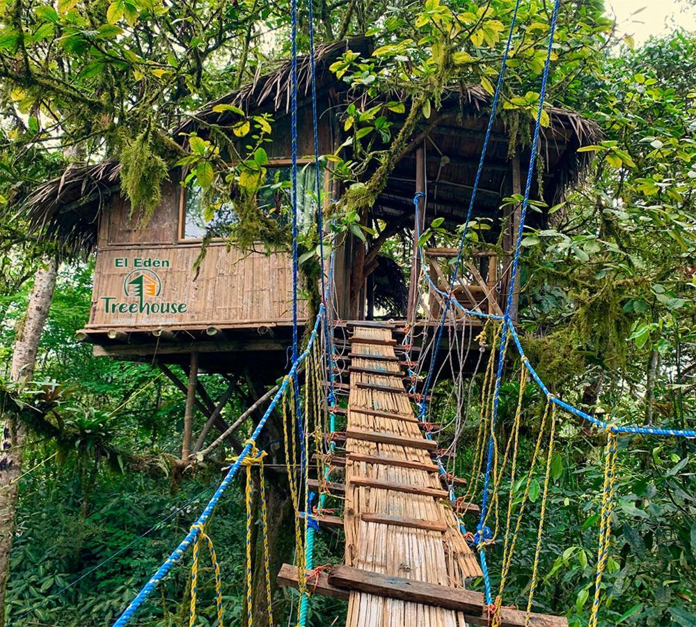 민도 Eden Treehouse 빌라 외부 사진